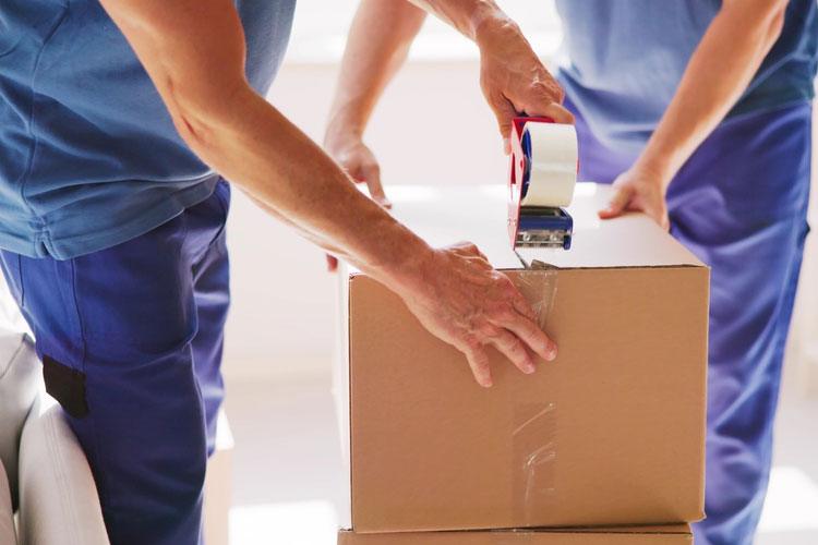 Professional Packing